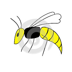 Insect Wasp. Vector illustration isolated on white background